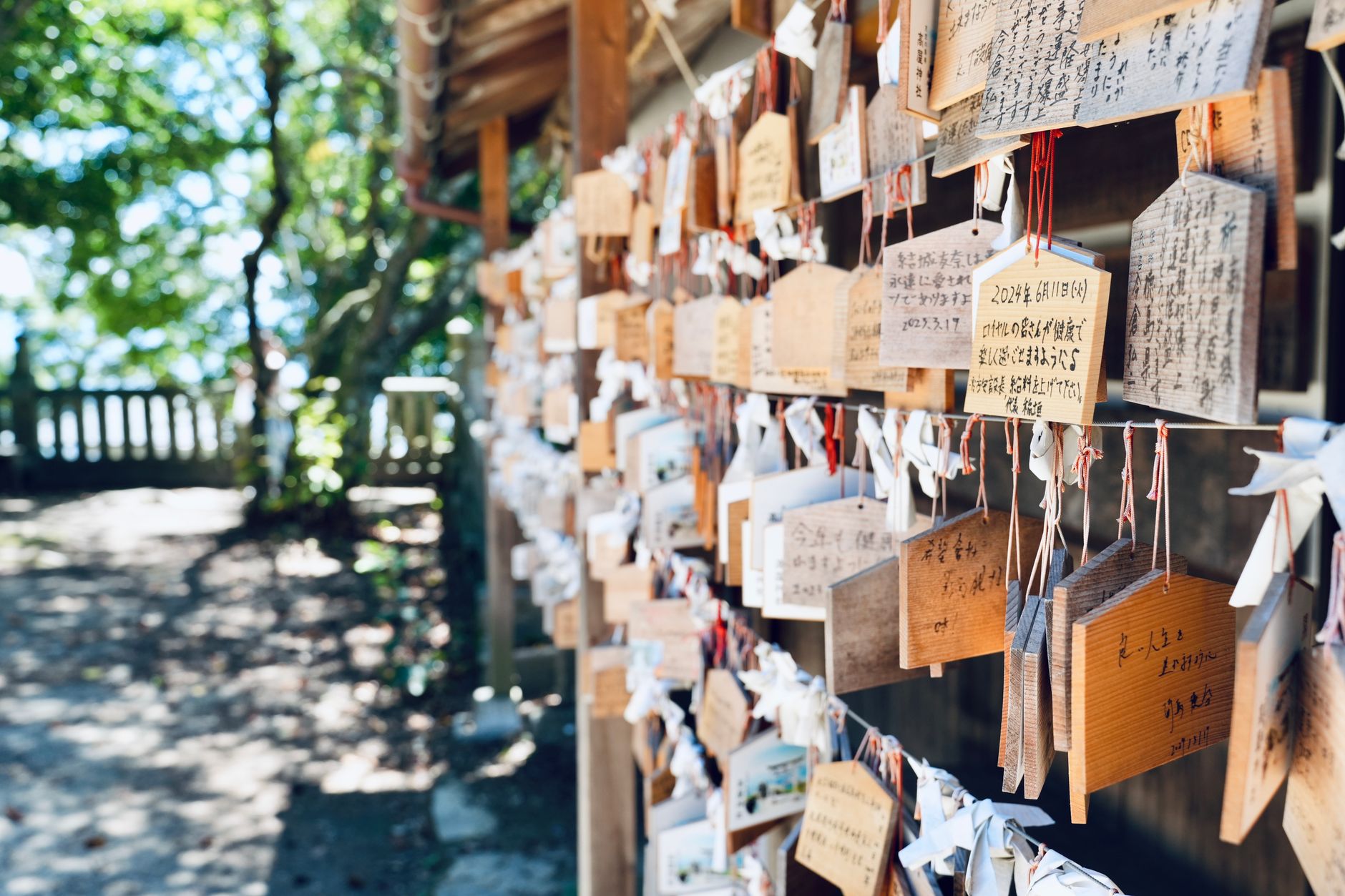 Plaques d'immatriculation personnalisées : le luxe à portée de main